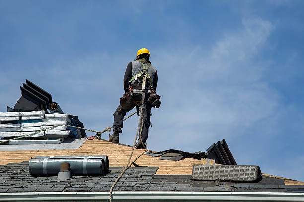 Professional Roof Replacement technician working in Molt, MT